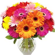 Bouquet of 25 gerberas