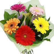 Bouquet of 5 gerberas