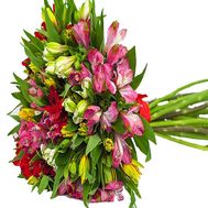 Bouquet of different color alstroemerias