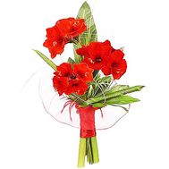 Bouquet of Amaryllis