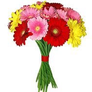 Bouquet of gerberas