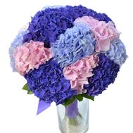 Bouquet of hydrangeas