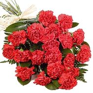 Bouquet of carnations