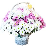 Bouquet of chrysanthemums in a basket