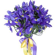 Bouquet of irises