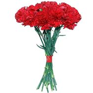 Bouquet of red carnations