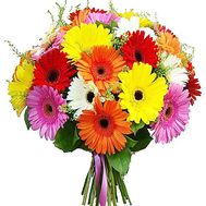 Bouquet of multicolored gerberas
