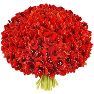 Flowers for a man for an anniversary