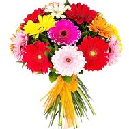 Gerberas to buy a bouquet