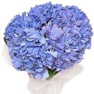 Hydrangea bouquet