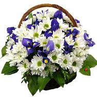 Chrysanthemums and irises in the basket