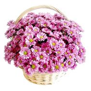 Chrysanthemums in the basket