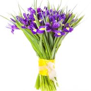 Irises for the beloved