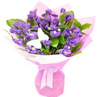 Irises purple