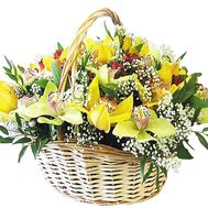 Composition in the basket