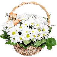Composition in a basket of chrysanthemums