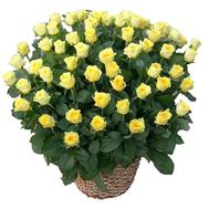 Basket 135 yellow roses