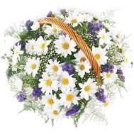 Flower basket for baby