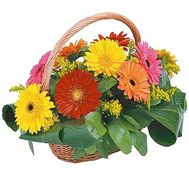 Basket of flowers from multi-colored gerberas