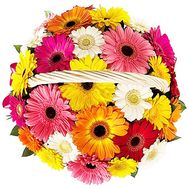 Basket with gerberas