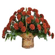 Basket of red carnations
