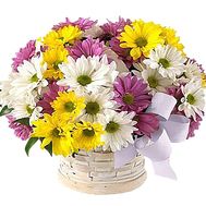 Basket of multi-colored chrysanthemums