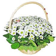 Basket with flowers for the wedding