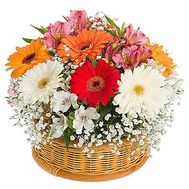 Basket with gerberas