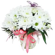 Basket with chrysanthemums