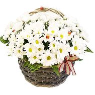 Girl`s basket