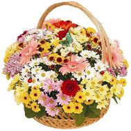 Beautiful basket of flowers for your beloved