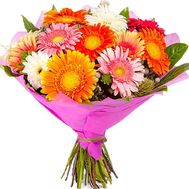 Beautiful Gerberas
