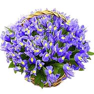 A huge basket of irises - 101 iris