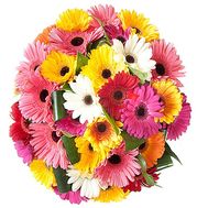 Huge bouquet of gerberas