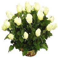 Roses in the basket