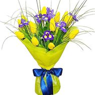 Blue-yellow bouquet of irises and tulips