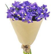 Blue irises