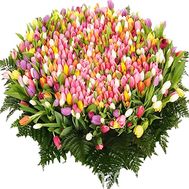 1001 tulip