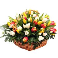 101 tulip in the basket