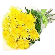11 chrysanthemums in a bouquet