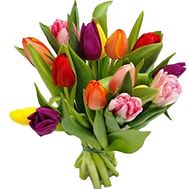 15 tulips bouquet