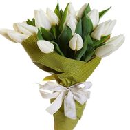 21 white tulip
