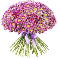 45 chrysanthemums