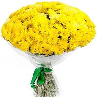 51 chrysanthemum buy