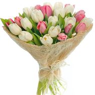 White and pink tulips in a bouquet