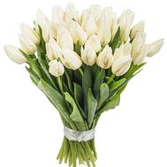 White tulips to buy