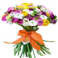 Large bouquet of ranunculus