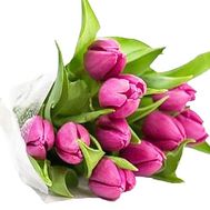 Bouquet of 11 pink tulips