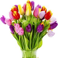 Bouquet of 39 tulips