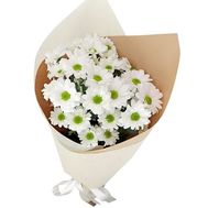 Bouquet of white chamomiles